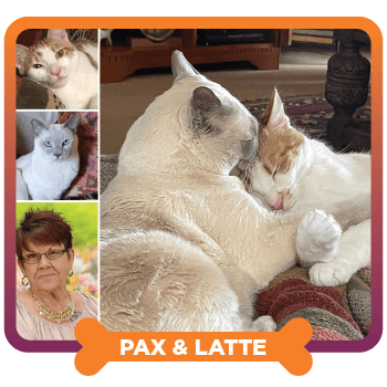 September 2025 Featured Pet