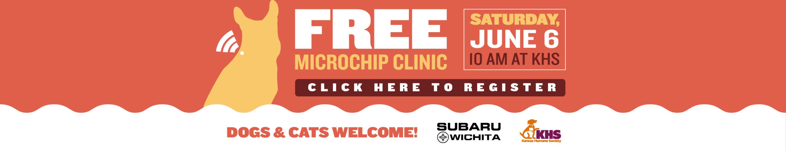 Microchip Clinic