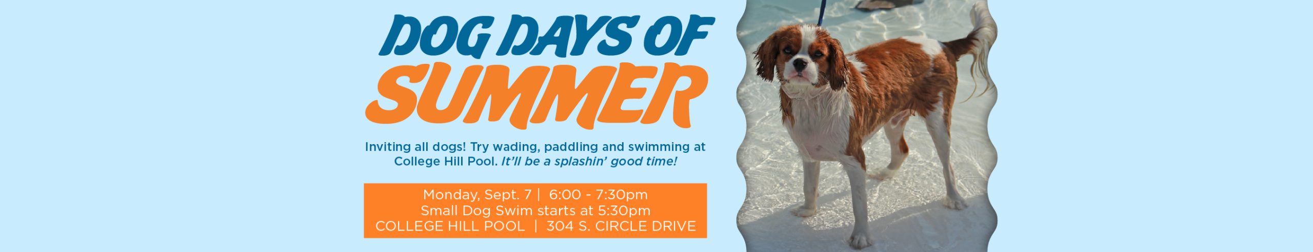 Dog Days of Summer 2026