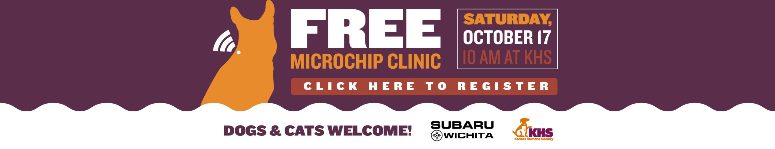 Microchip Clinic